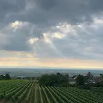 L'ecrin D'anne Et Stephane - Vue Sur Strasbourg Bischoffsheim