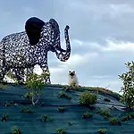 L'ecrin D'anne Et Stephane - Vue Sur Strasbourg *