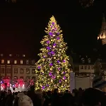 L'ecrin D'anne Et Stephane - Vue Sur Strasbourg Apartment *