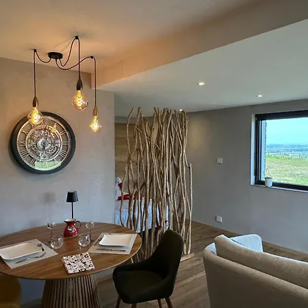 L'ecrin D'anne Et Stephane - Vue Sur Strasbourg *