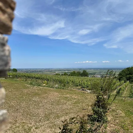L'ecrin D'anne Et Stephane - Vue Sur Strasbourg Bischoffsheim