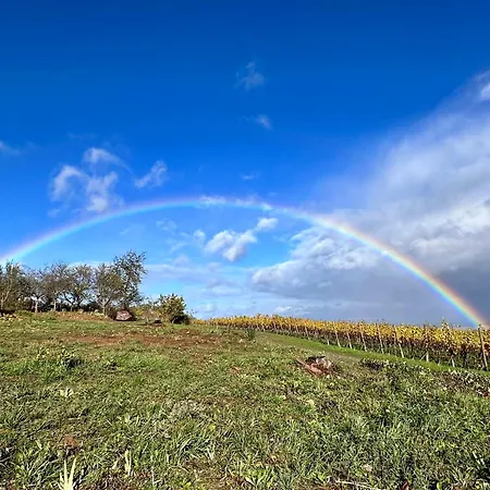 Apartment L'ecrin D'anne Et Stephane - Vue Sur Strasbourg