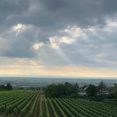 L'ecrin D'anne Et Stephane - Vue Sur Strasbourg Bischoffsheim