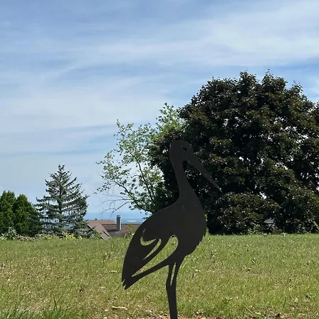 L'écrin D'anne Et Stéphane - Vue Sur Strasbourg Bischoffsheim