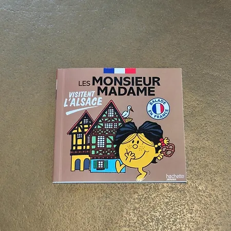 L'écrin D'anne Et Stéphane - Vue Sur Strasbourg Appartamento