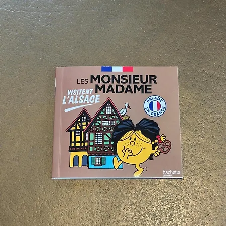 L'ecrin D'anne Et Stephane - Vue Sur Strasbourg 아파트 Bischoffsheim