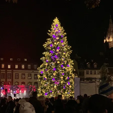 L'écrin D'anne Et Stéphane - Vue Sur Strasbourg Appartamento *