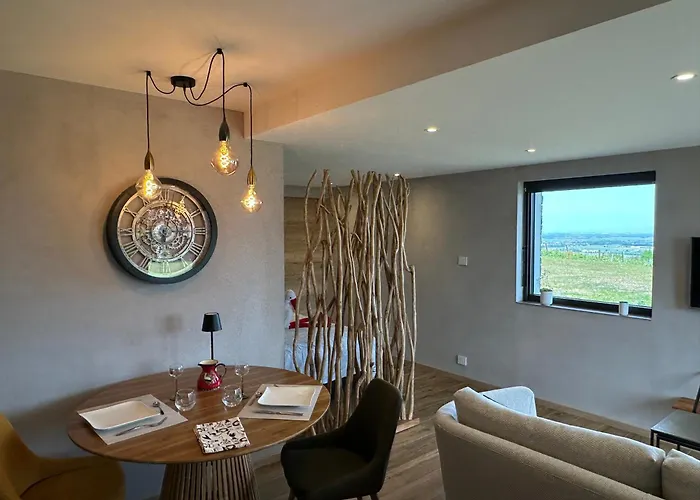 L'ecrin D'anne Et Stephane - Vue Sur Strasbourg *