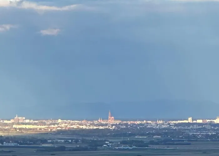 L'ecrin D'anne Et Stephane - Vue Sur Strasbourg Apartment