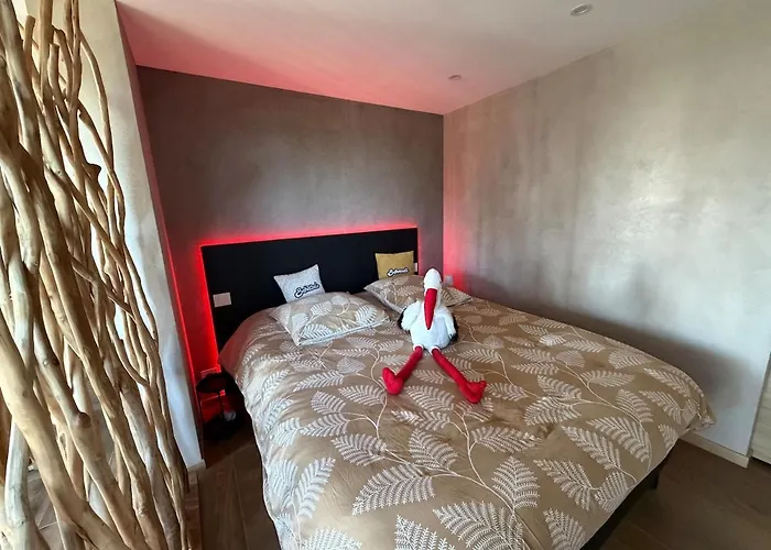 L'ecrin D'anne Et Stephane - Vue Sur Strasbourg *