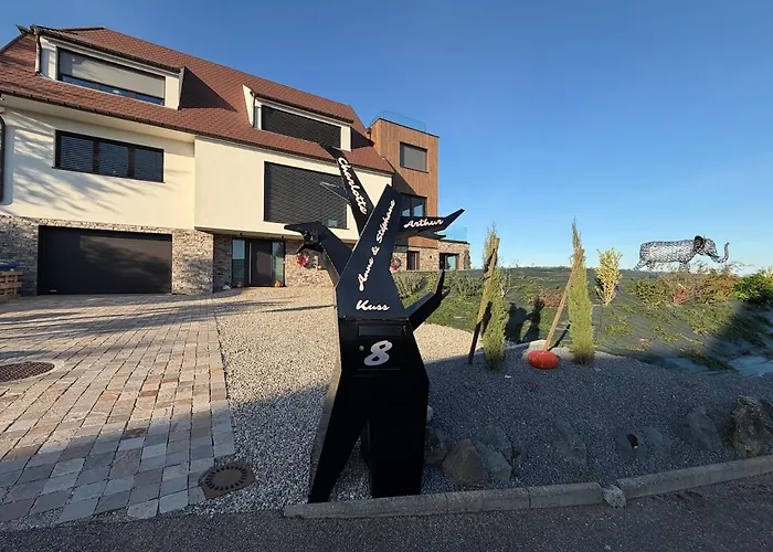 Apartment L'ecrin D'anne Et Stephane - Vue Sur Strasbourg *