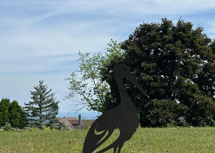 L'ecrin D'anne Et Stephane - Vue Sur Strasbourg *