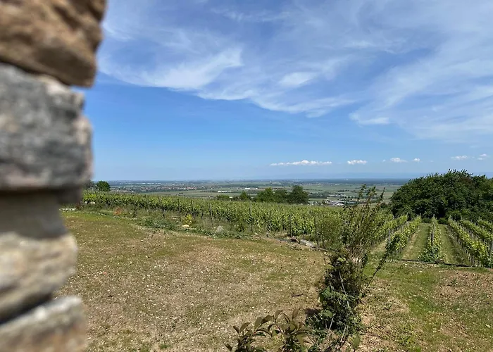 L'ecrin D'anne Et Stephane - Vue Sur Strasbourg Bischoffsheim