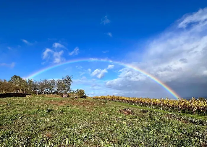 Apartment L'ecrin D'anne Et Stephane - Vue Sur Strasbourg