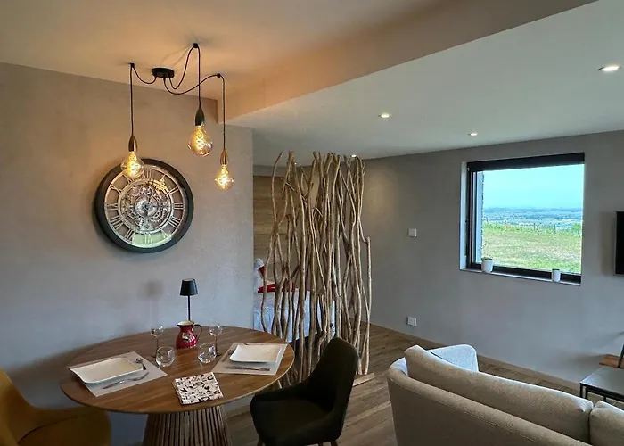 Apartment L'ecrin D'anne Et Stephane - Vue Sur Strasbourg Bischoffsheim