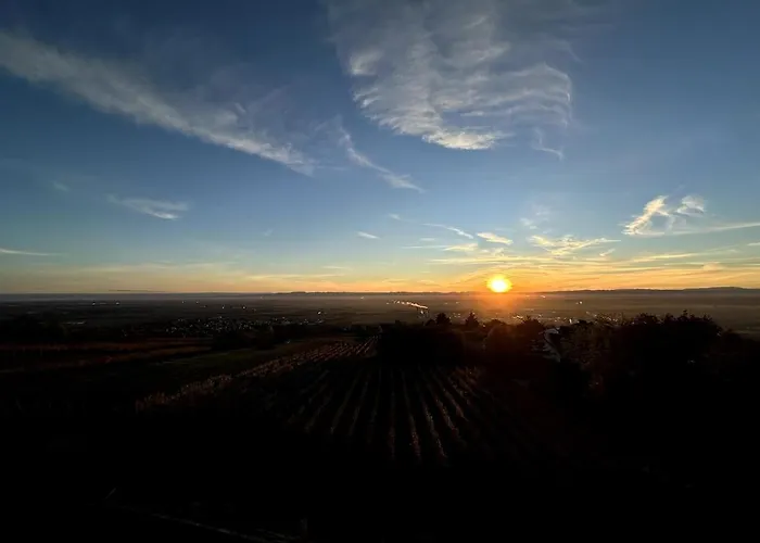 L'ecrin D'anne Et Stephane - Vue Sur Strasbourg Apartment
