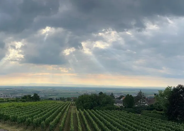L'ecrin D'anne Et Stephane - Vue Sur Strasbourg Bischoffsheim