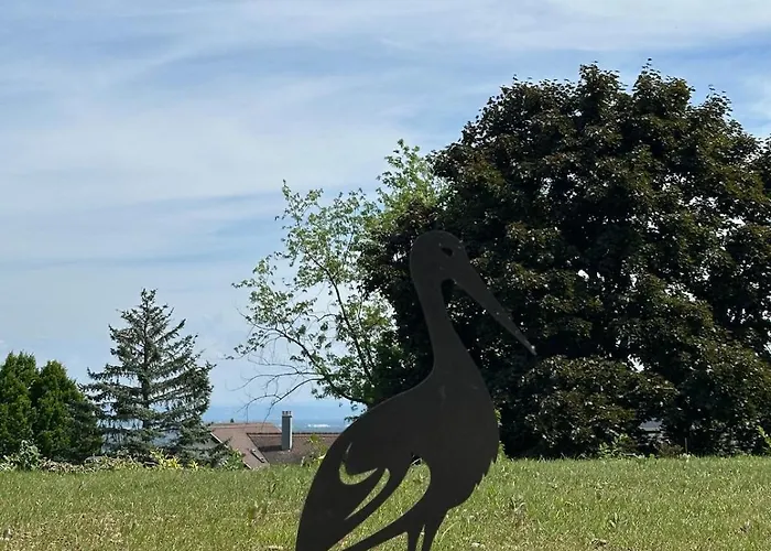 L'ecrin D'anne Et Stephane - Vue Sur Strasbourg Bischoffsheim