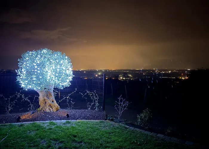 L'ecrin D'anne Et Stephane - Vue Sur Strasbourg