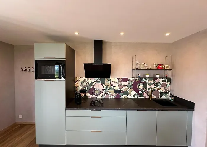 Apartment L'ecrin D'anne Et Stephane - Vue Sur Strasbourg Bischoffsheim