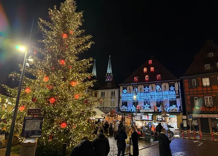 Apartment L'ecrin D'anne Et Stephane - Vue Sur Strasbourg *