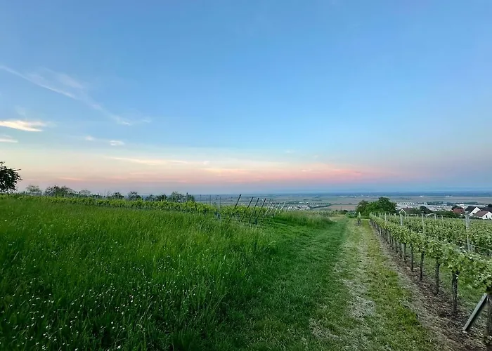 L'ecrin D'anne Et Stephane - Vue Sur Strasbourg
