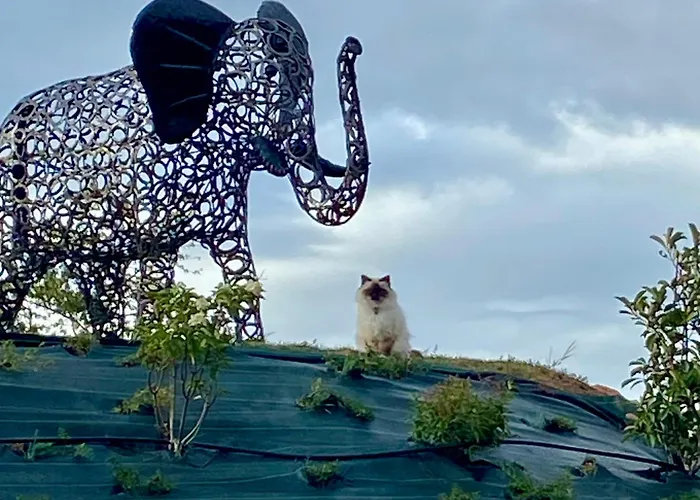 L'ecrin D'anne Et Stephane - Vue Sur Strasbourg Apartment