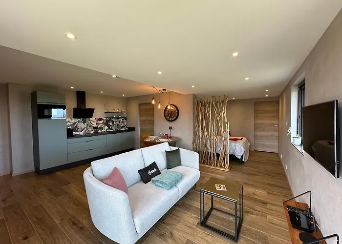 Apartment L'ecrin D'anne Et Stephane - Vue Sur Strasbourg *