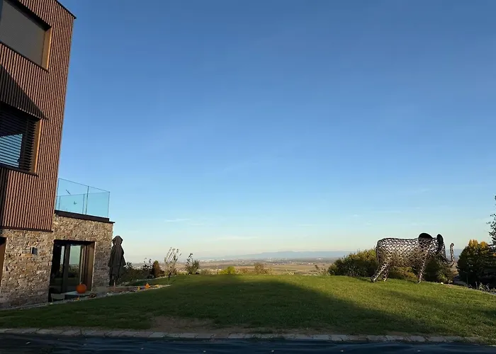 Apartment L'ecrin D'anne Et Stephane - Vue Sur Strasbourg *
