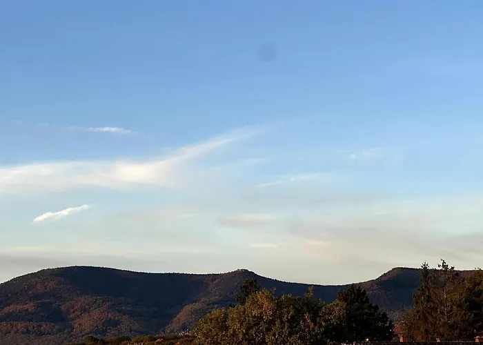 L'ecrin D'anne Et Stephane - Vue Sur Strasbourg Apartment *