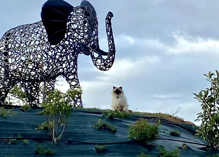 L'ecrin D'anne Et Stephane - Vue Sur Strasbourg *