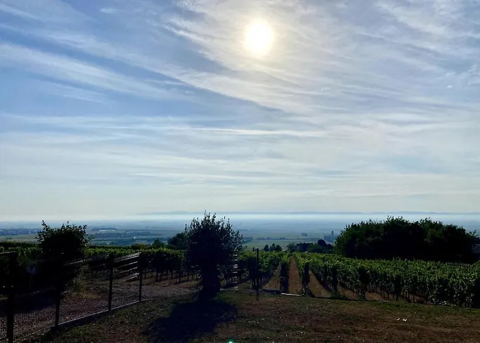 L'ecrin D'anne Et Stephane - Vue Sur Strasbourg
