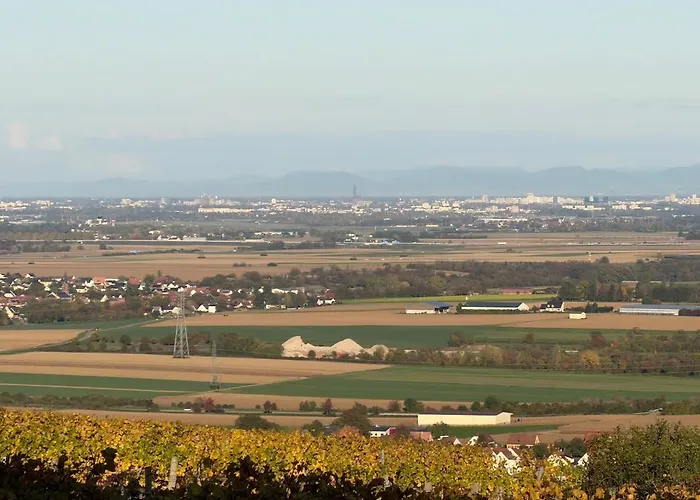 Apartment L'ecrin D'anne Et Stephane - Vue Sur Strasbourg *