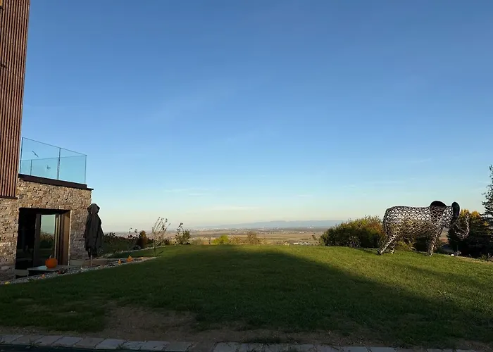 Apartment L'ecrin D'anne Et Stephane - Vue Sur Strasbourg *