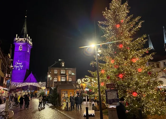 L'ecrin D'anne Et Stephane - Vue Sur Strasbourg Apartment Bischoffsheim