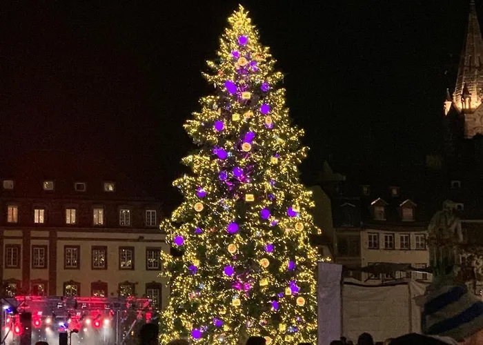L'ecrin D'anne Et Stephane - Vue Sur Strasbourg Apartment *
