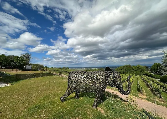L'ecrin D'anne Et Stephane - Vue Sur Strasbourg Bischoffsheim