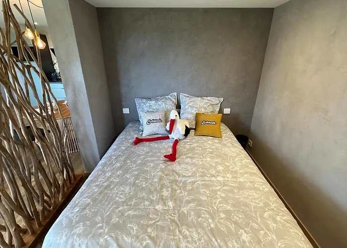 L'ecrin D'anne Et Stephane - Vue Sur Strasbourg * Bischoffsheim