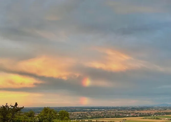 L'ecrin D'anne Et Stephane - Vue Sur Strasbourg Bischoffsheim