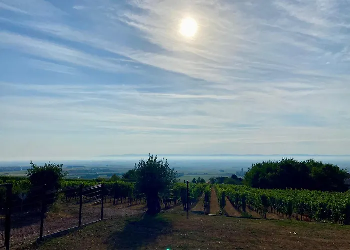 L'ecrin D'anne Et Stephane - Vue Sur Strasbourg *